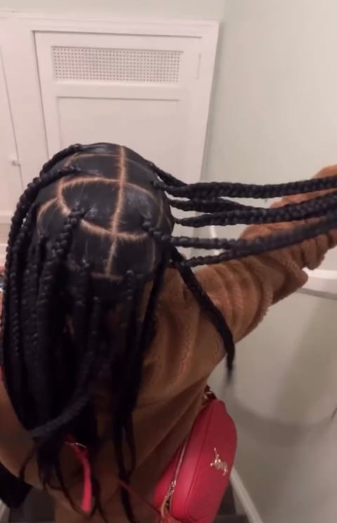 Long braided black hair