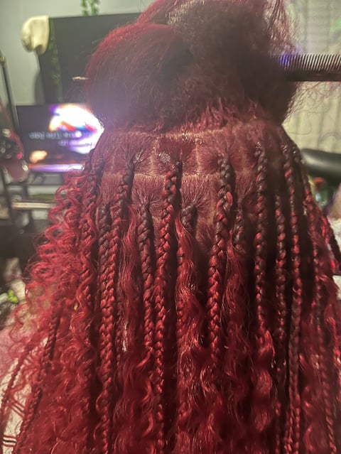 Dark red braided hair